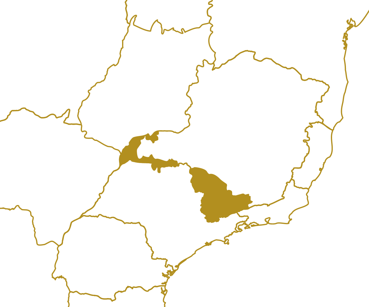 Mapa da região MG_SUL