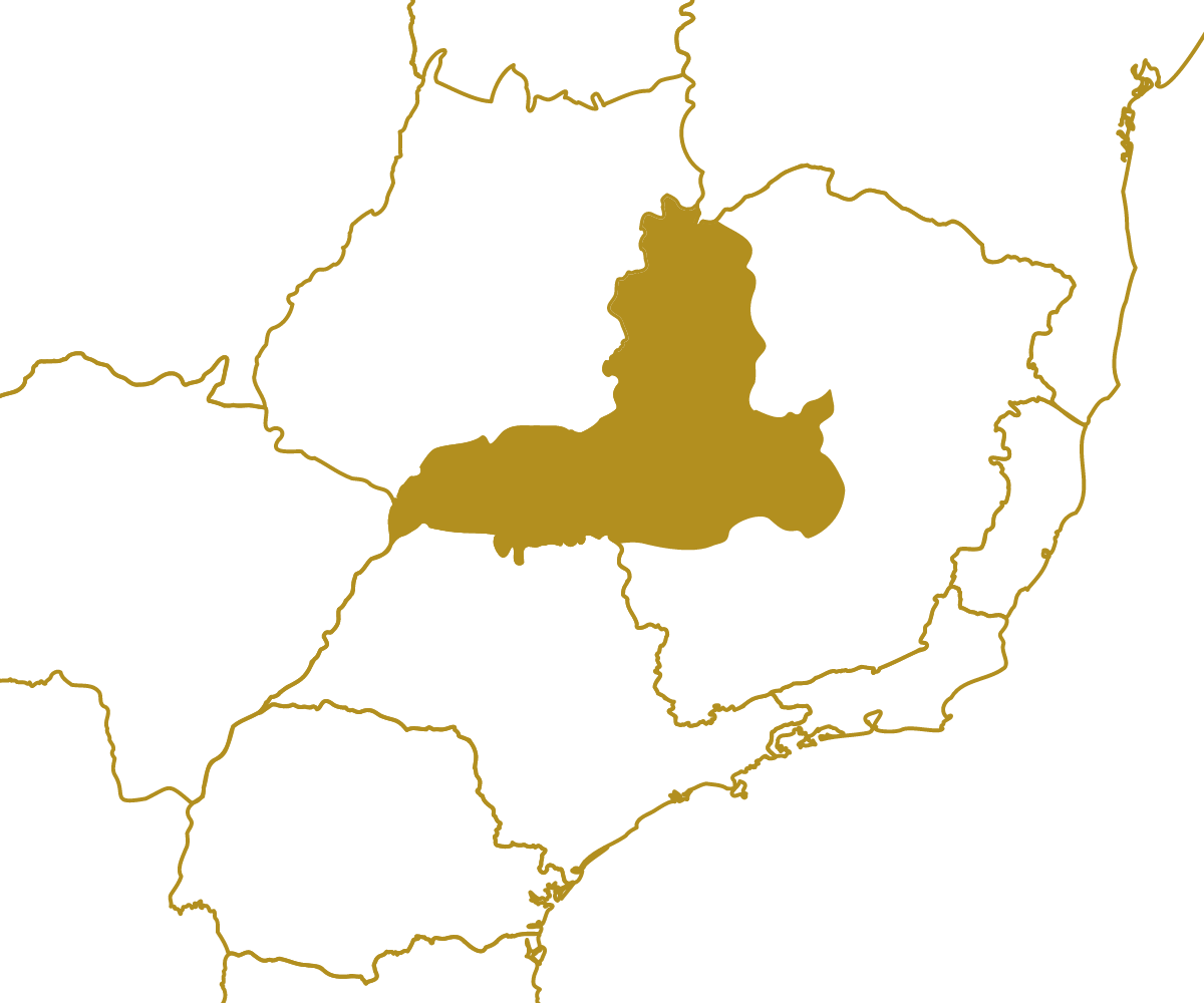 Mapa da região MG_TRIANGULO