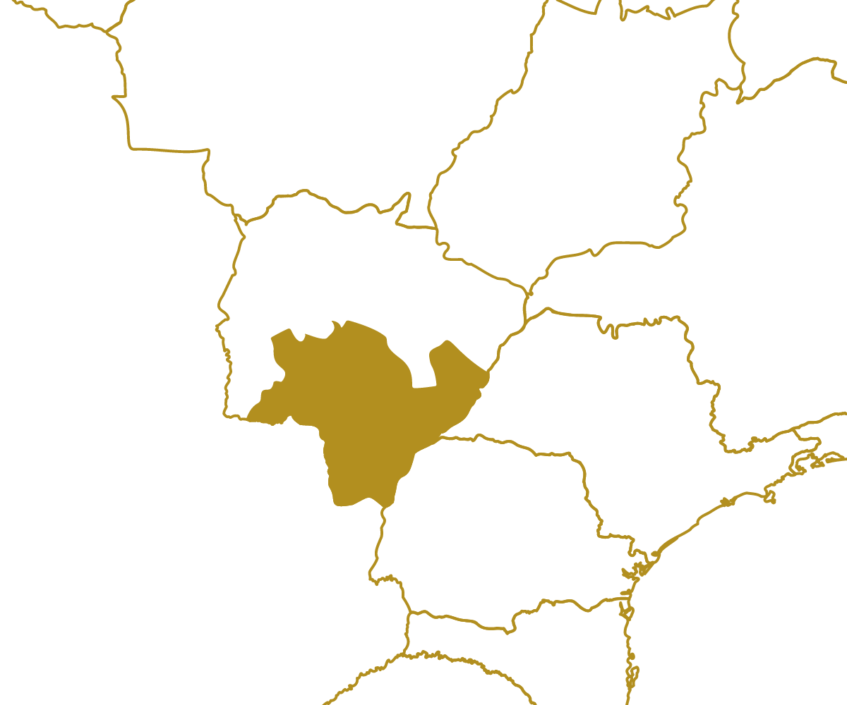 Mapa da região MS_SUL