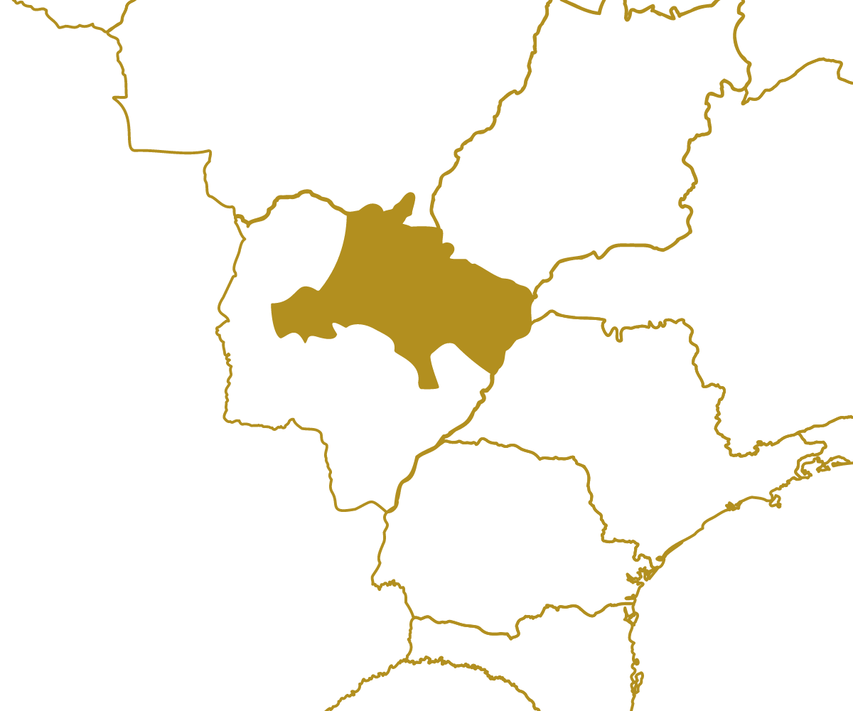 Mapa da região MS_NORTE